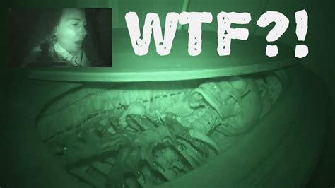 Ghost Hunter Finds Human Skeleton Inside Haunted Funeral Home Youtube