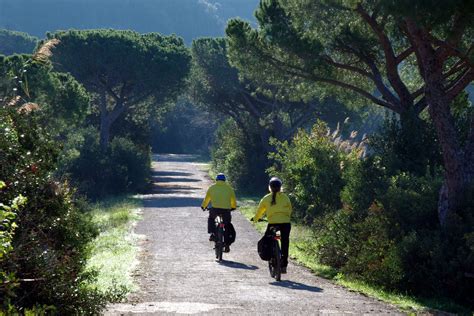 Approvati Gli Emendamenti Ddl Guide Turistiche Sulle Guide Sportive