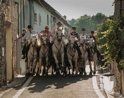 Les Meilleurs Livres Sur La Camargue Best Livres