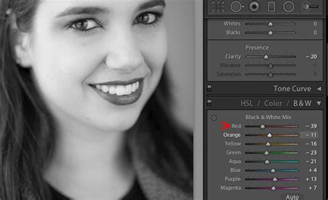 How To Convert Photos To Black And White In Lightroom Black And White