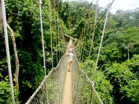 Canopy Walk! Ghana. | Africa travel, Travel, Africa