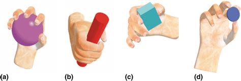 Types of Grasps: a Circular Grasp; b Prismatic Grasp; c Precise... | Download Scientific Diagram