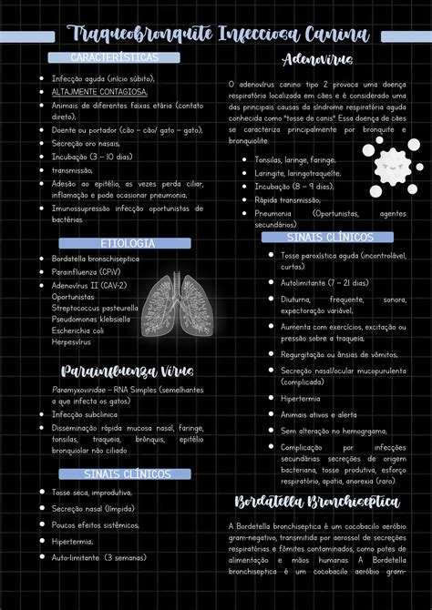 SOLUTION: Cl nica m dica peq alimais sistema respirat rio traqueobronquite infecciosa canina