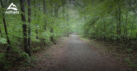 Best Trails Near Chapel Hill North Carolina Alltrails