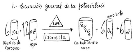 Gráfico Sobre Ecuación General De La Fotosíntesis Utilizado En La Clase
