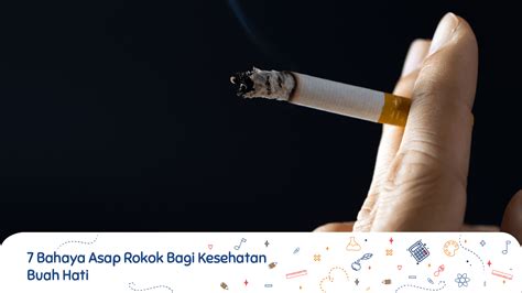 Mengapa Asap Rokok Berbahaya Bagi Kesehatan Tubuh Homecare