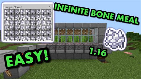 EASY 1 16 AUTOMATIC BONEMEAL FARM TUTORIAL In Minecraft Bedrock MCPE