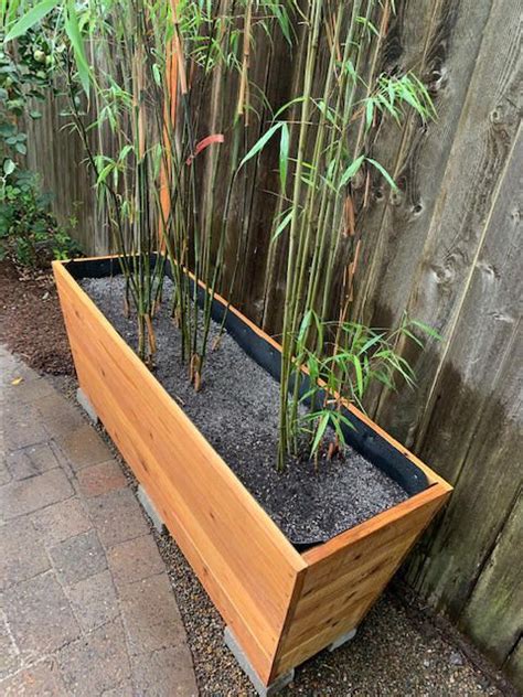 Bamboo Planters Bamboo Planter Bamboo Landscape Bamboo Garden