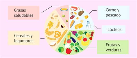 ¿qué Son Los Alimentos Esenciales Para La Alimentación Materna Mibbmemima ️