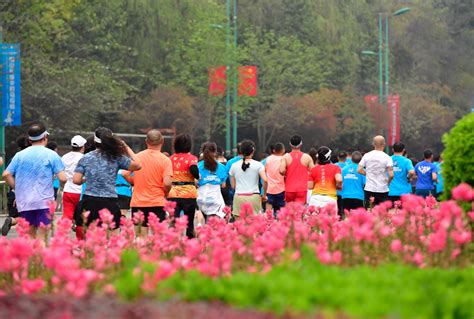 眉山“东马”图集来了：嗨！你在哪儿？ 眉山网－眉山新闻网－主流媒体 眉山门户