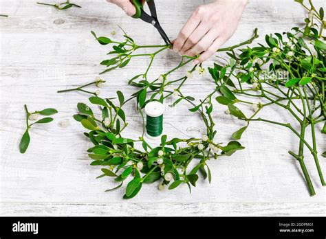 Florist At Work How To Make Mistletoe Door Wreath Step By Step