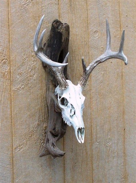 Interesting Idea W Replica Skullantlers Driftwood Deer European Skull Mount Wall Pedestal