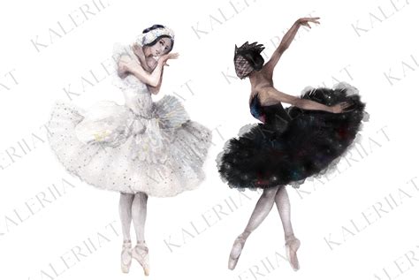 Black and White Swans, Watercolor Ballet Graphic by Kaleriia Studio ...