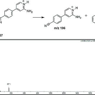 Mechanism and mass spectra fragmentation of 3a. | Download Scientific Diagram