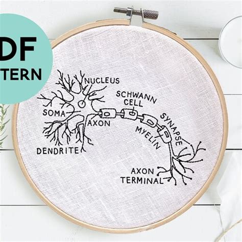 Neuron Embroidery Pattern Neuron Anatomy Medical Embroidery Etsy