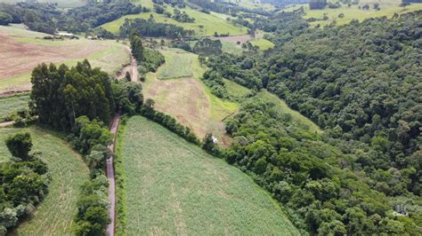 Terreno Rural S Tio Fazenda Ch Cara A Venda Em Interior Treze