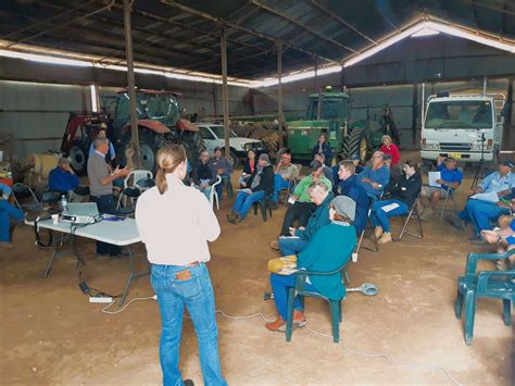 Testing Tropical Pastures In Southern NSW Holbrook Landcare Network