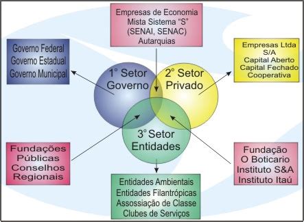 Rede Socioassistencial E Terceiro Setor