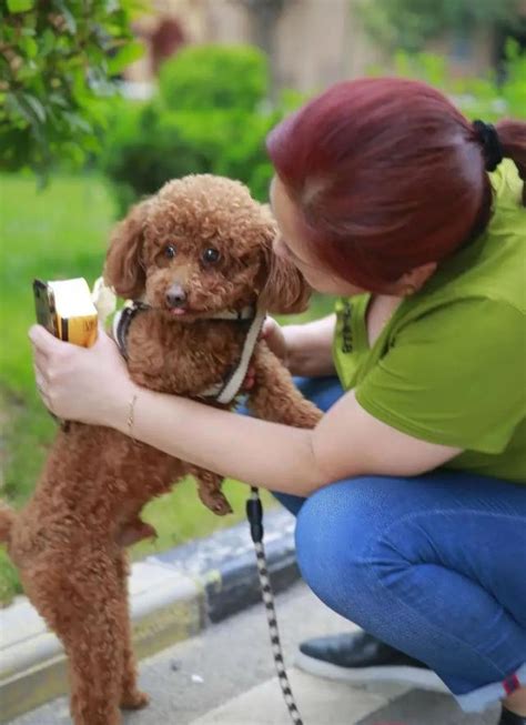 文明養犬 警民共建丨「親密」與「躲避」 我們距離文明養犬有多遠？ 每日頭條