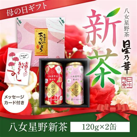 送料無料 八女茶 星野茶 新茶120g×2 星乃八十八夜 星乃華 ほしのはな Sin 3000m八女星野茶 星乃華 通販