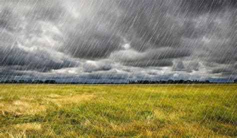 Tipos De Lluvia Presipitaciones Y Sus Caracter Sticas Diferenciando