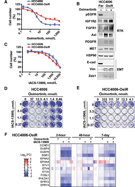 Figure 4 From Allosteric SHP2 Inhibitor IACS 13909 Overcomes EGFR