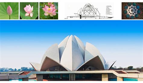 Nature Does It Absolutely Better: Biomimicry As Architectural Sustainability | The Design Gesture