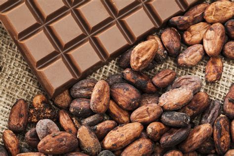 Les Vertus Sant Du Chocolat Et Du Cacao Alternative Sant