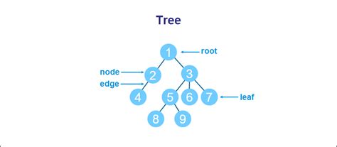 What Are Data Structures Classification Types Phoenixnap Kb