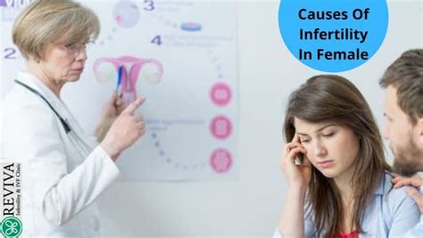 10 Major Causes Of Infertility In Female Trending Sol