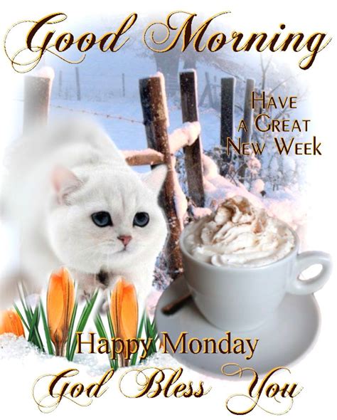 Good Morning And Have A Great New Week Happy Monday Pictures Photos