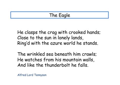 The Eagle by Tennyson | Teaching Resources