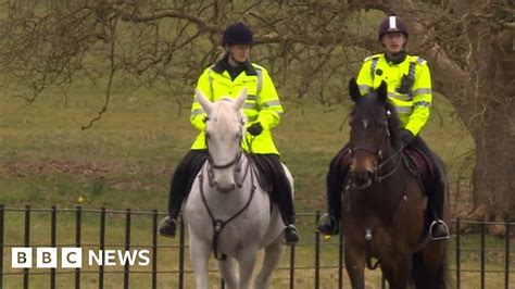 First Police Horses To Patrol Gloucestershire In 70 Years Bbc News