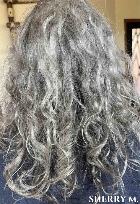 The 50 Shades of Silver Hair Project