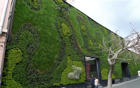 Green Walls: How to Create a Living Landscape (or Wallscape)