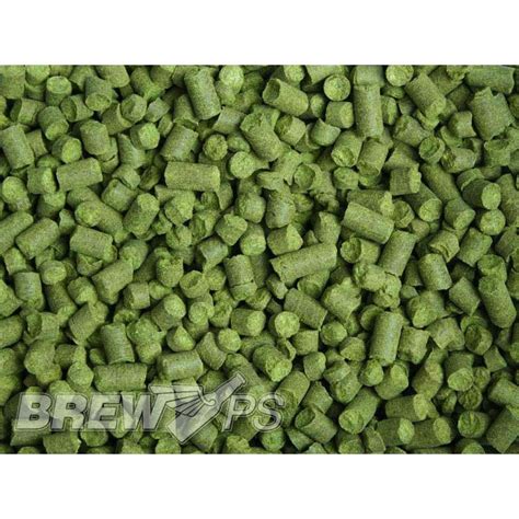 Saaz Hops - Saaz Pellet Hops (Czech)(1oz & 2oz)