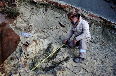 Huge Dinosaur Footprint Discovered in South America