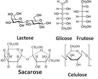 Glicidios São Carboidratos - Carboidratos ou Glicídios. Carboidratos em nosso organismo