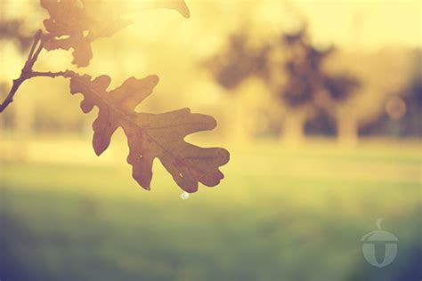 EmandHof on Behance