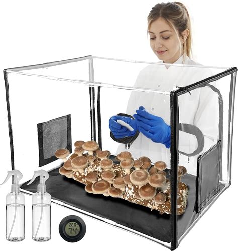 Fungiworks Large Mushroom Growing Kit Still Air Box Mycology Mushroom