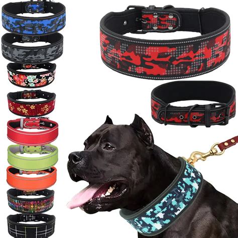 Collier R Fl Chissant Pour Chien Couleurs Avec Boucle R Glable