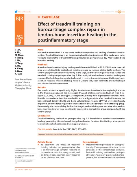 PDF Effect Of Treadmill Training On Fibrocartilage Complex Repair In