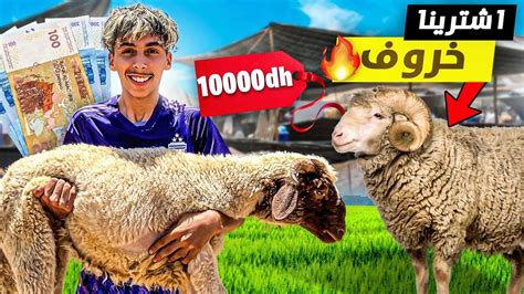 و أخيرا إشترينا أغلى خروف العيد 🐏😱 شوفوا شنو دار لسعدوش 💔😭 Youtube