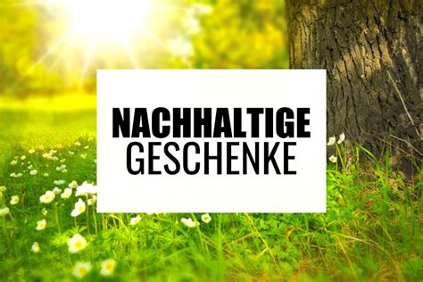 🌳 53 Nachhaltige Geschenke Umweltfreundliche Kleine Geschenkideen