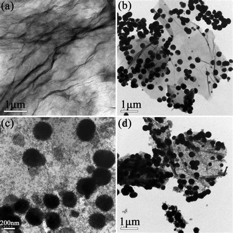 The Eds Spectrum Of Fe O Batio Rgo Nanocomposites A And The Element