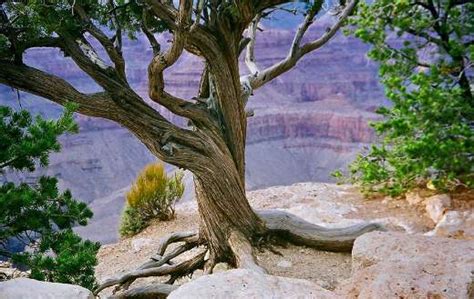 Grand Canyon Online Jigsaw Puzzles