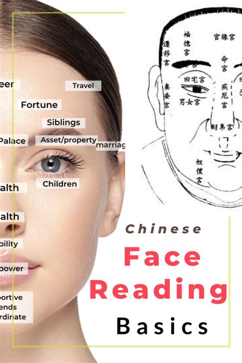 Chinese Face Reading Basics — Picture Healer Feng Shui And Fortune