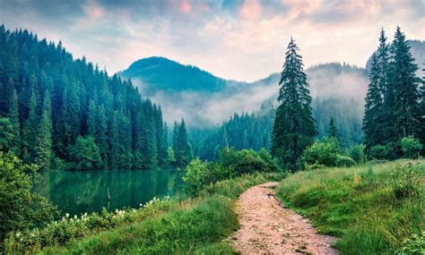 "Quand la nature reprend ses droits", pour la protection du vivant