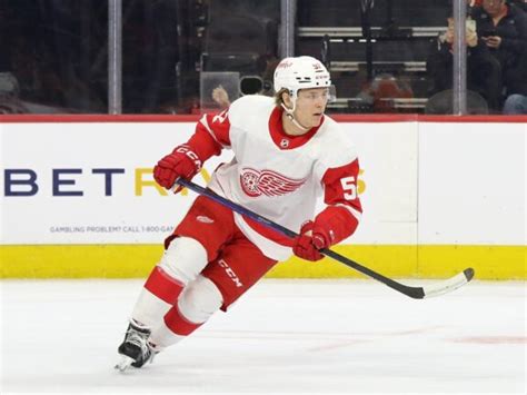 Analyzing The Red Wings Organizational Depth Heading Into