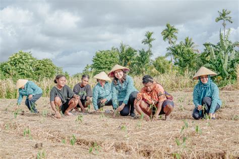 Mengurangi Laju Inflasi TP PKK Papua Tengah Ikut Serta Dalam Gerakan